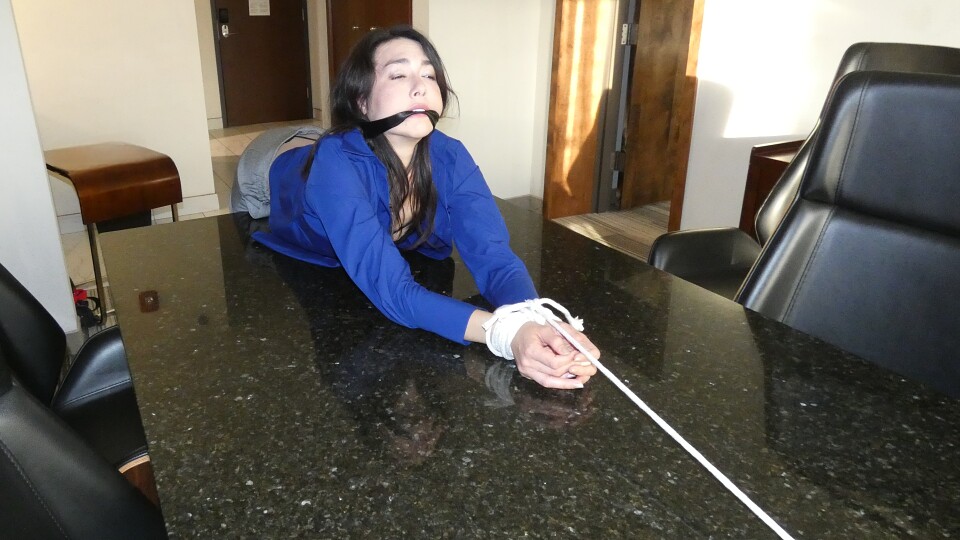 Isabel Love Bound in the Boardroom