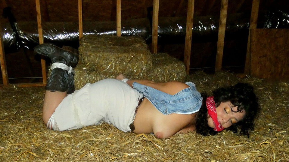 Belle Amelie Bound in the Barn